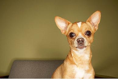 《DEBUG女友》登陆Steam 与可爱女友的游戏创作之旅